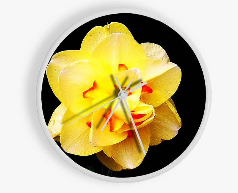 Yellow Star Flower Clock - Wallart-Direct UK