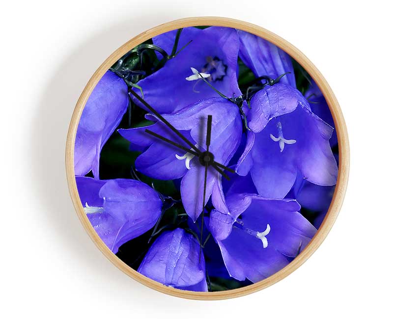 Purple Bluebells Clock - Wallart-Direct UK