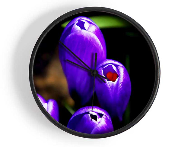 Purple Crocus Delight Clock - Wallart-Direct UK