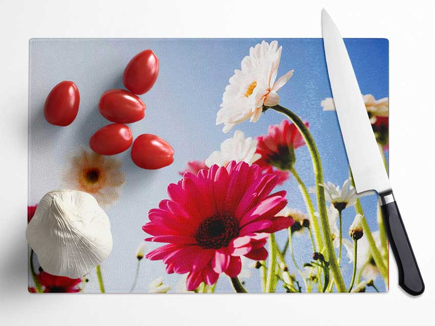 Daisy Sky Sunlight Glass Chopping Board