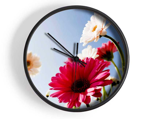 Daisy Sky Sunlight Clock - Wallart-Direct UK