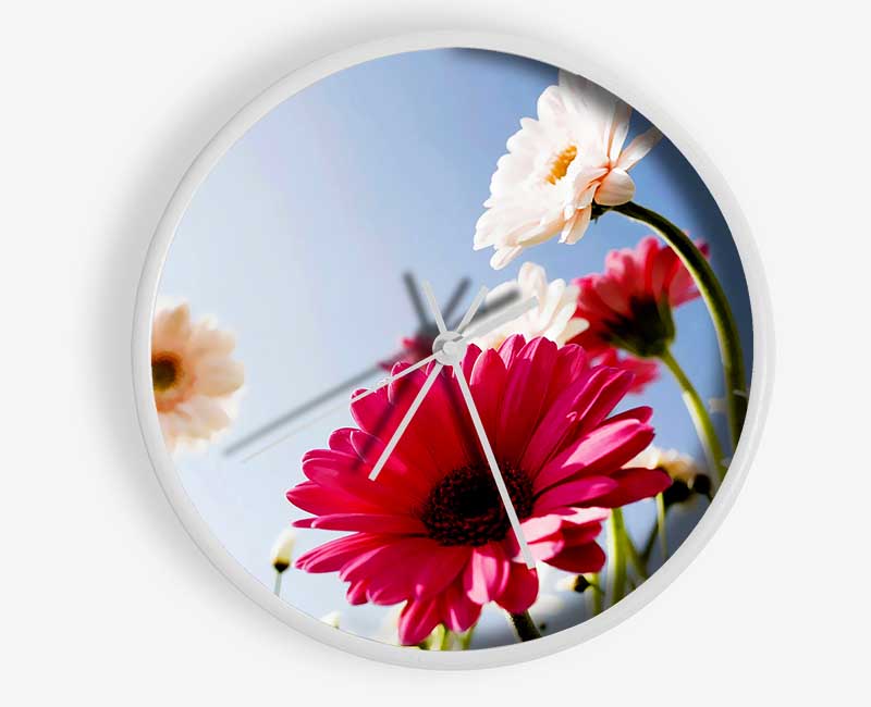 Daisy Sky Sunlight Clock - Wallart-Direct UK