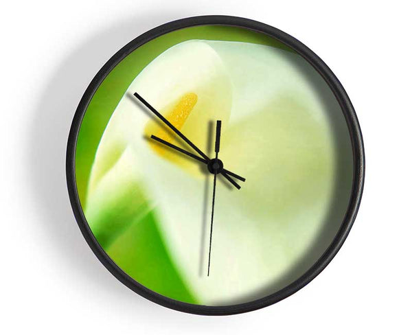 Single White Calla Lily Clock - Wallart-Direct UK