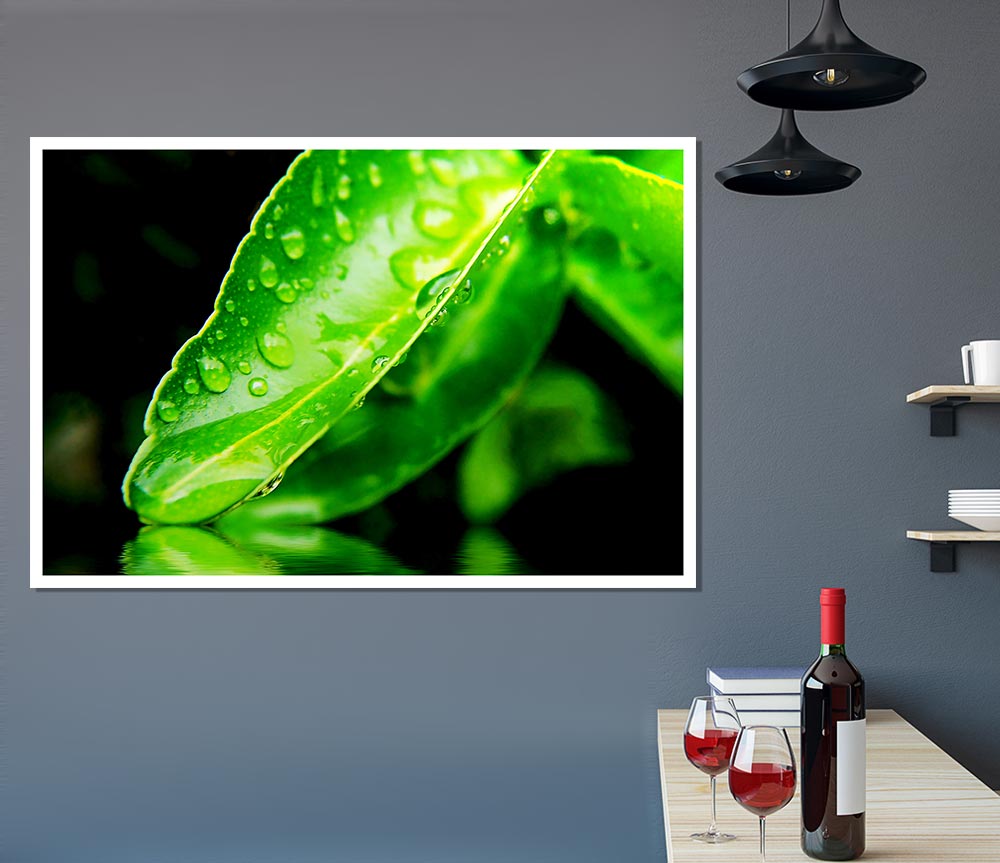 Green Leaf Reflection Print Poster Wall Art