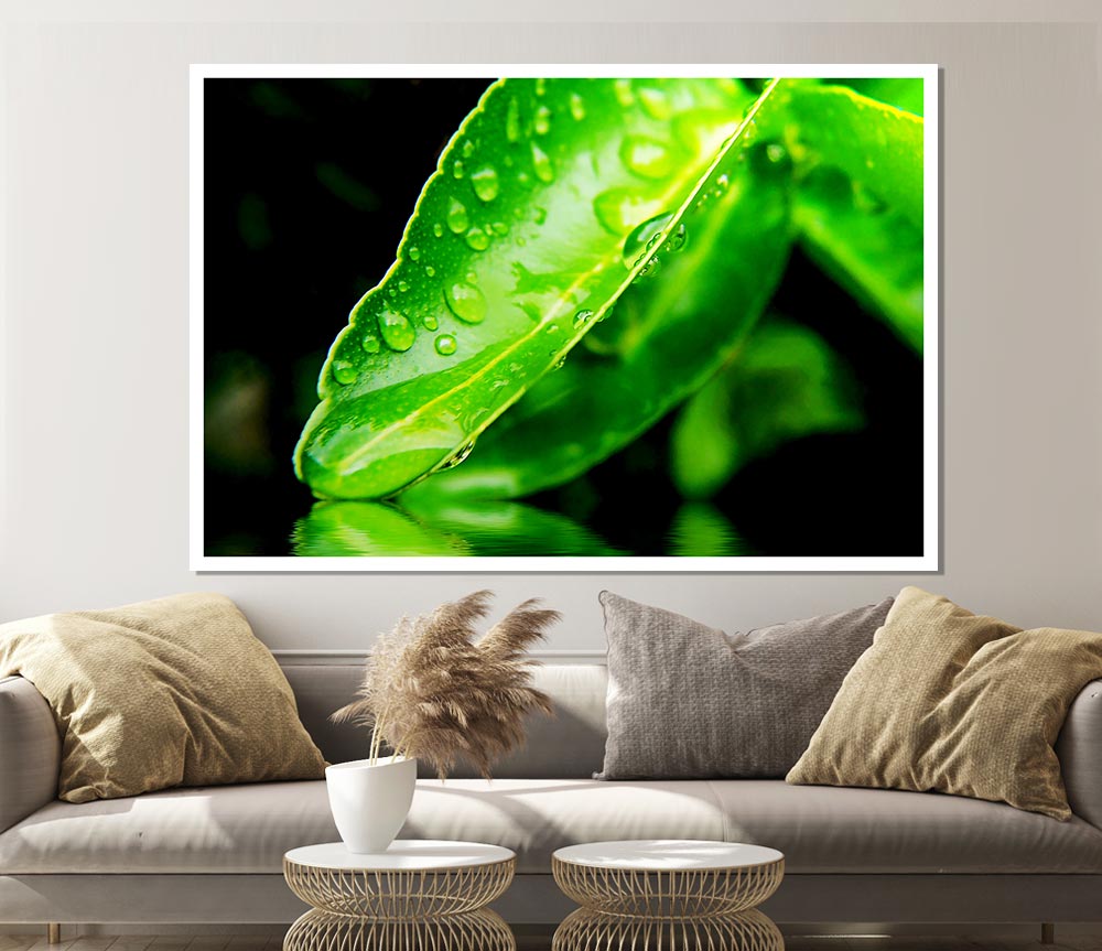 Green Leaf Reflection Print Poster Wall Art