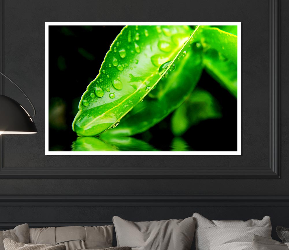 Green Leaf Reflection Print Poster Wall Art