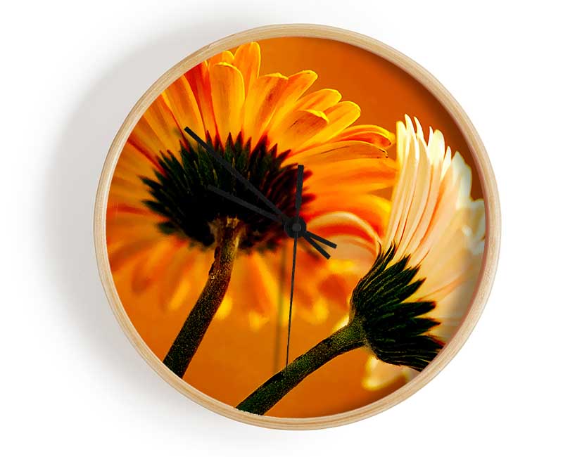 Behing The Golden Daisies Clock - Wallart-Direct UK