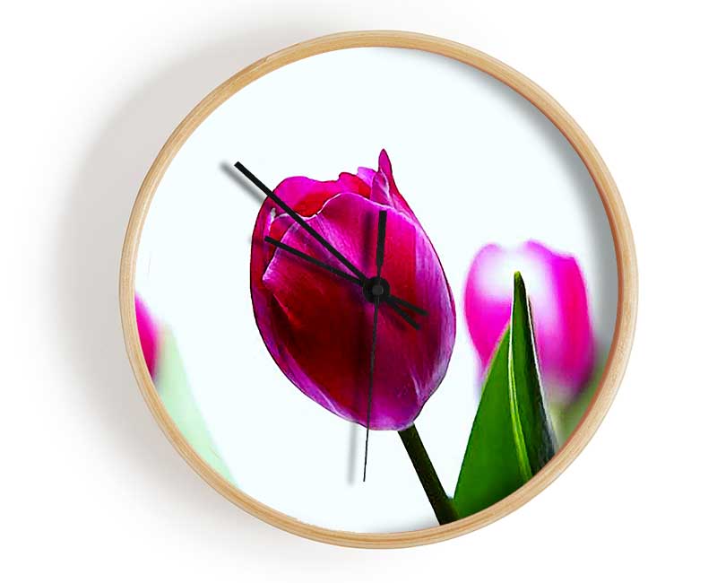 Cerise Tulip Quads Clock - Wallart-Direct UK