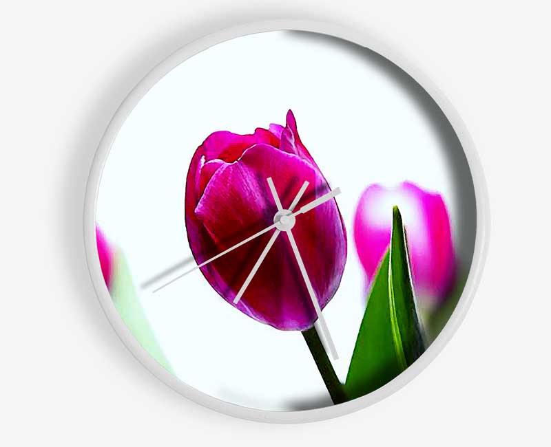 Cerise Tulip Quads Clock - Wallart-Direct UK