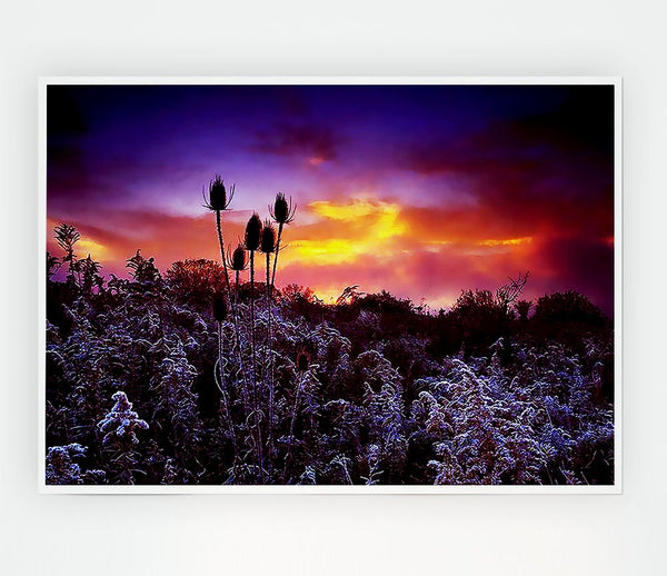 Winter Skies Print Poster Wall Art