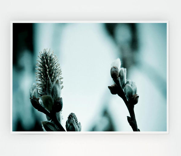 Winter Snow Flowers Print Poster Wall Art