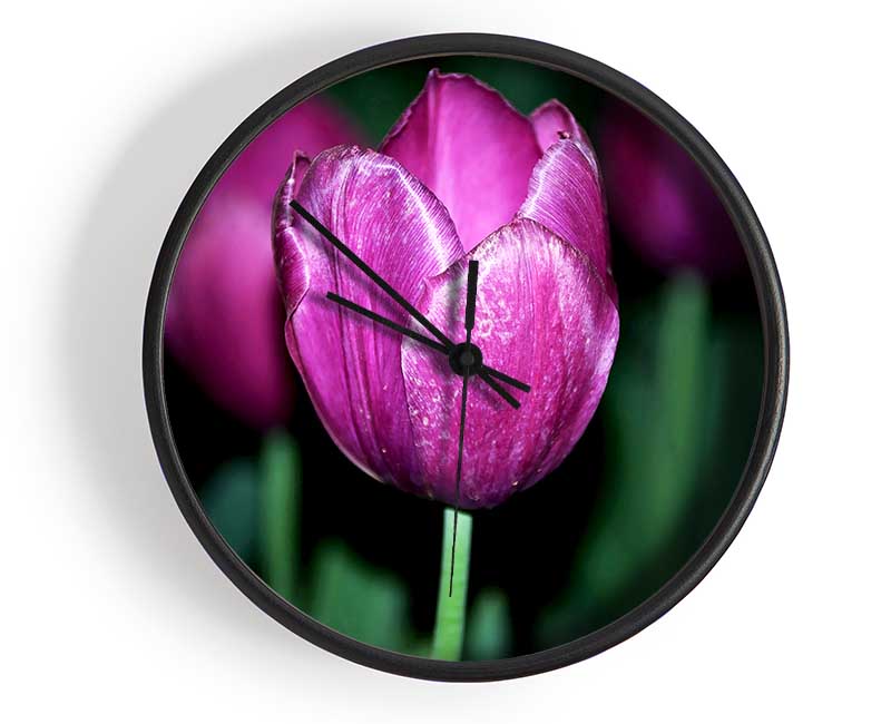 Purple Night Tulip Clock - Wallart-Direct UK