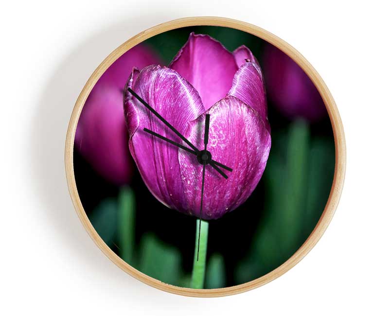 Purple Night Tulip Clock - Wallart-Direct UK