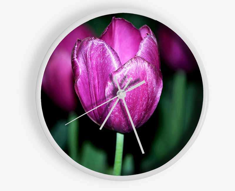 Purple Night Tulip Clock - Wallart-Direct UK