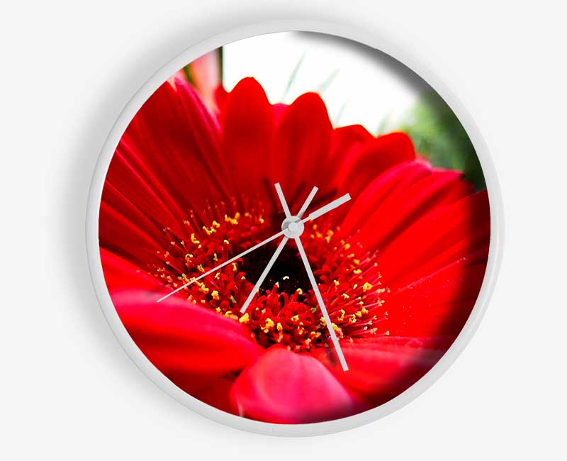 Cerise Gerbera Beauty Clock - Wallart-Direct UK