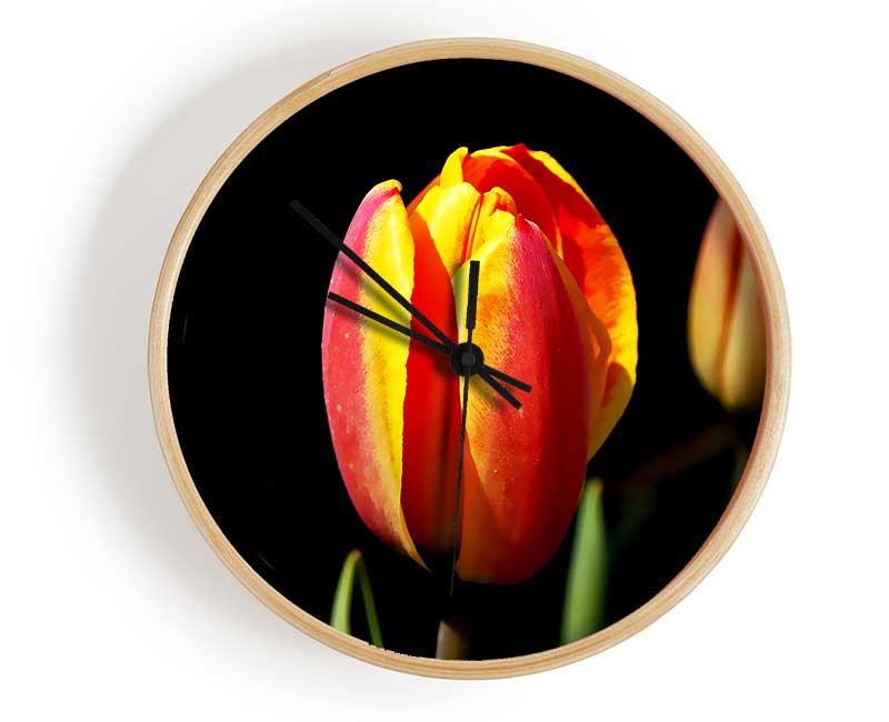 Tulips In A Bath Of Light Clock - Wallart-Direct UK