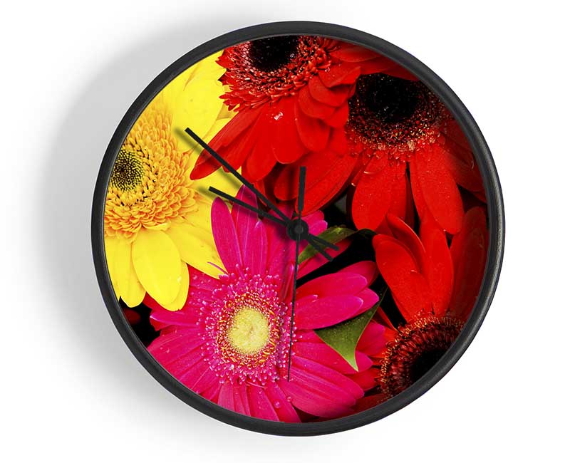 Gerbera Galore Clock - Wallart-Direct UK