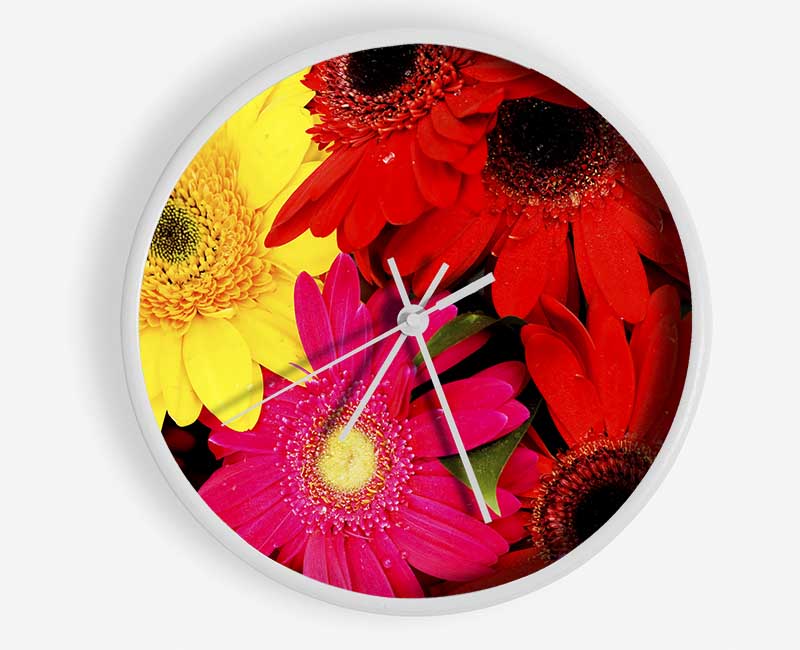 Gerbera Galore Clock - Wallart-Direct UK