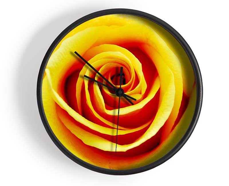 Golden Rose Close-Up Clock - Wallart-Direct UK