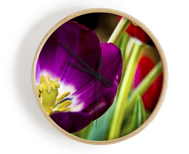 Purple Tulip Centre Clock - Wallart-Direct UK