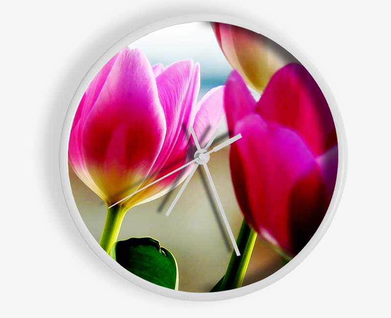 Pink Tulip Parade Clock - Wallart-Direct UK