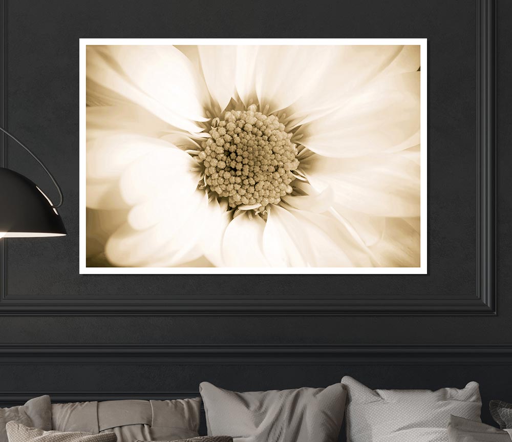 White Petal Heaven Print Poster Wall Art