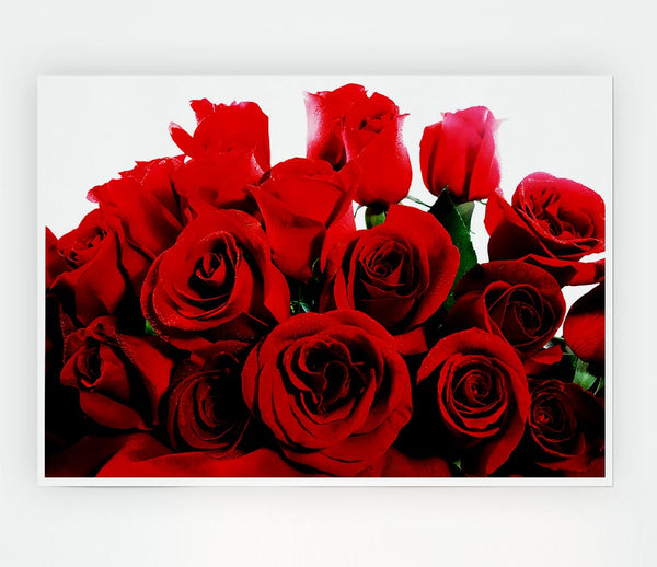 Bouquet Of Red Roses Print Poster Wall Art