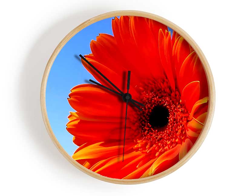 Orange Gerbera Skies Clock - Wallart-Direct UK