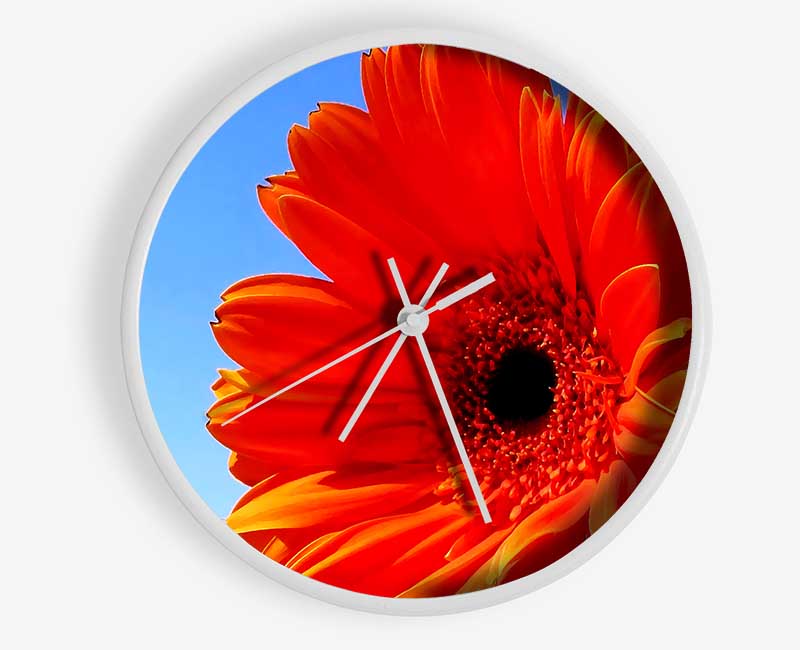 Orange Gerbera Skies Clock - Wallart-Direct UK