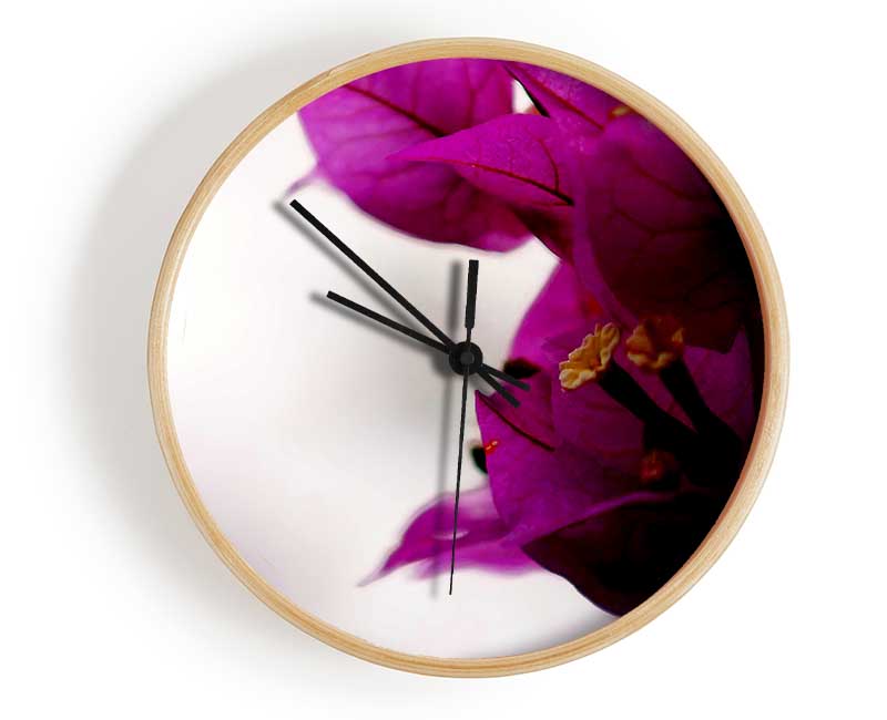 Stunning Cerise Winter Flowers Clock - Wallart-Direct UK