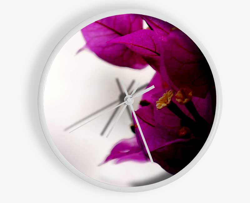 Stunning Cerise Winter Flowers Clock - Wallart-Direct UK