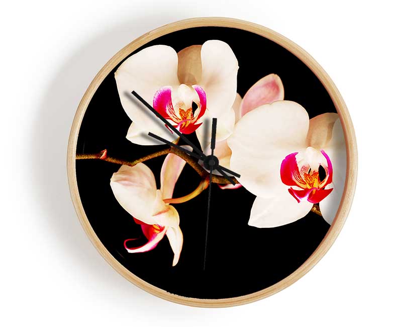 Butterfly Orchid Petals Clock - Wallart-Direct UK