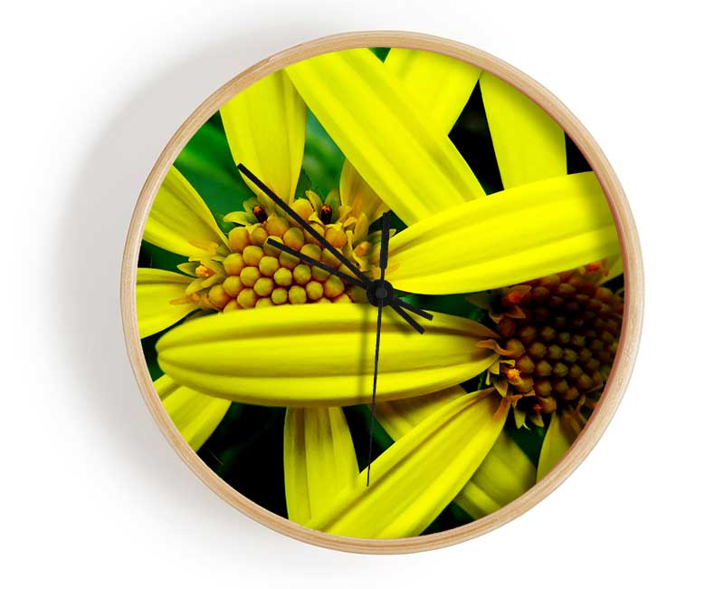 Yellow Star Flowers Clock - Wallart-Direct UK