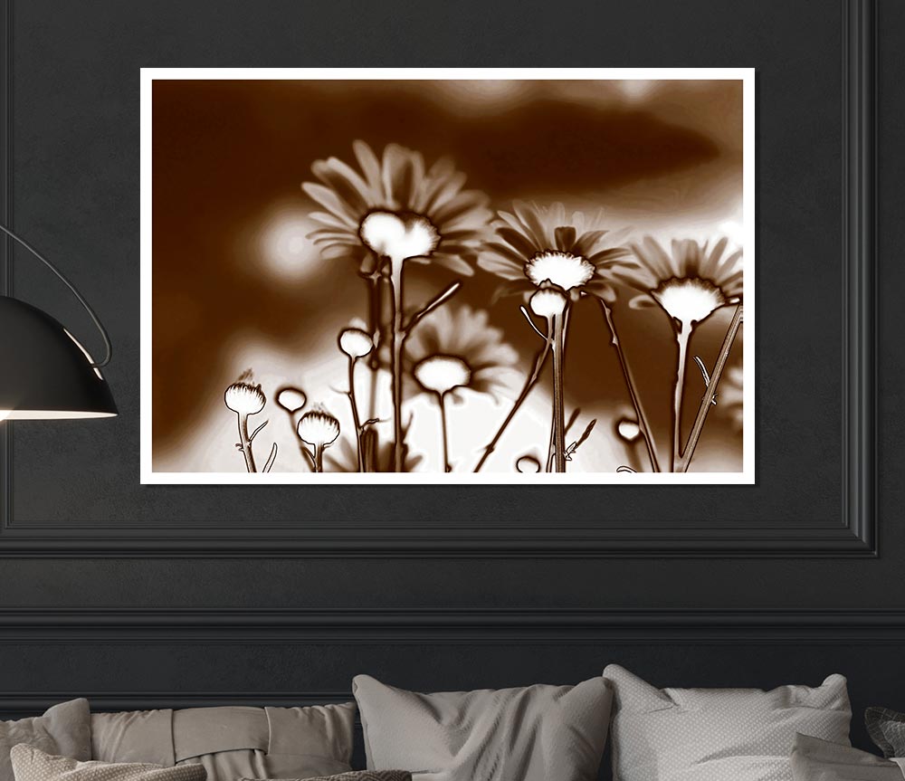 X Ray Daisys Brown Print Poster Wall Art