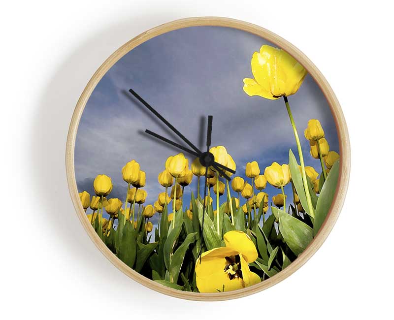 Yellow Tulip Field Storm Clock - Wallart-Direct UK