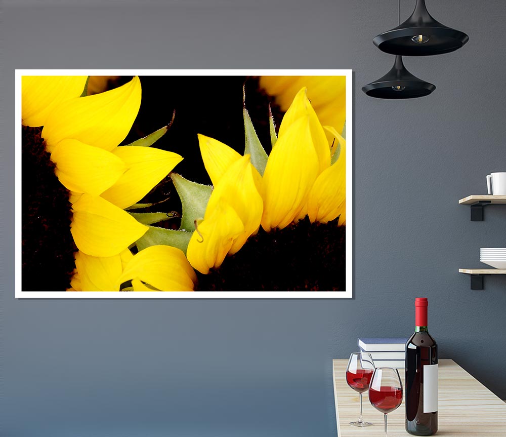 Yellow Sunflower Twins Close Up Print Poster Wall Art