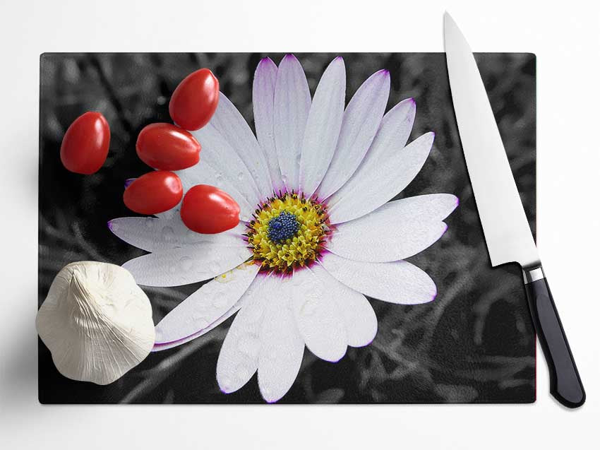 White Daisy On B n W Glass Chopping Board