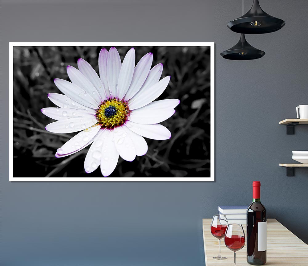 White Daisy On B N W Print Poster Wall Art