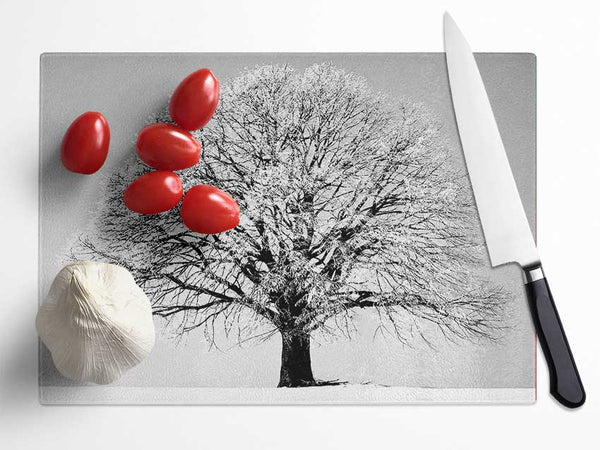 Winter Tree B n W Glass Chopping Board