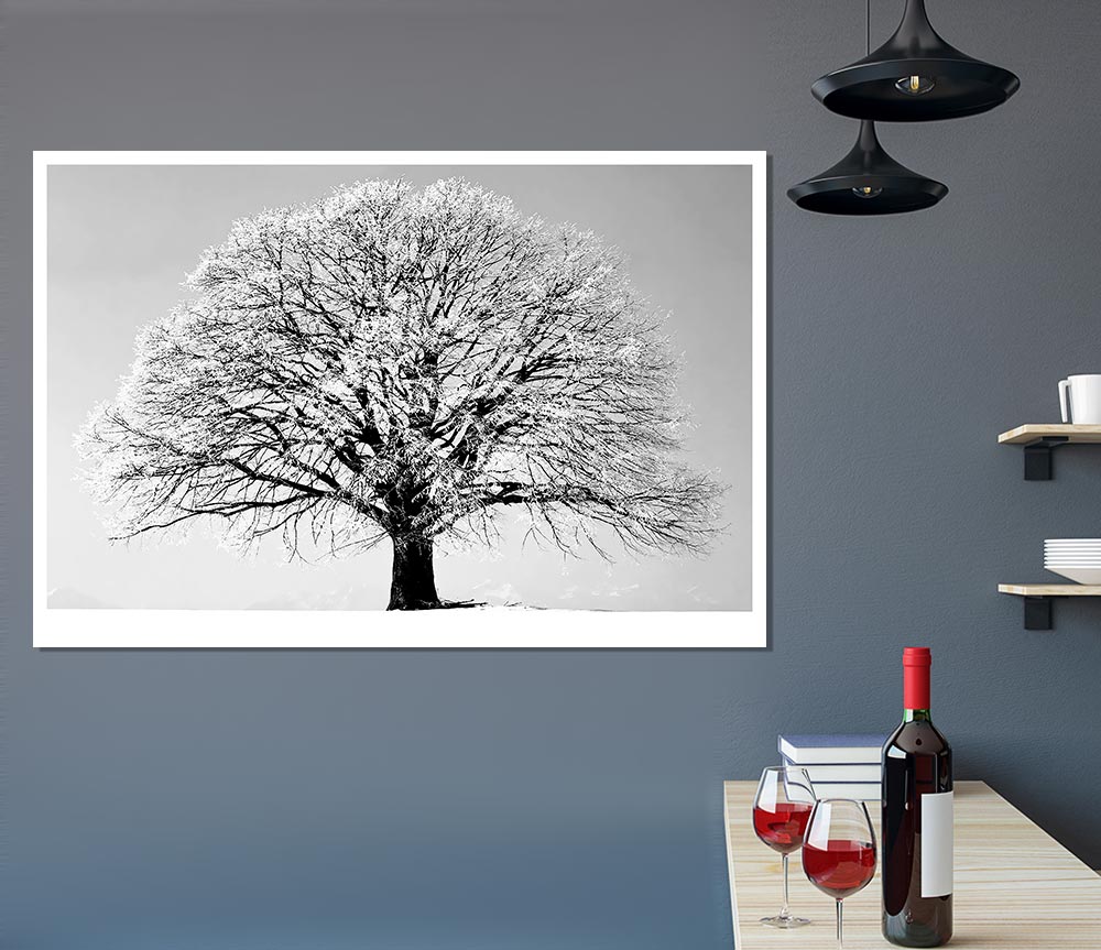 Winter Tree B N W Print Poster Wall Art