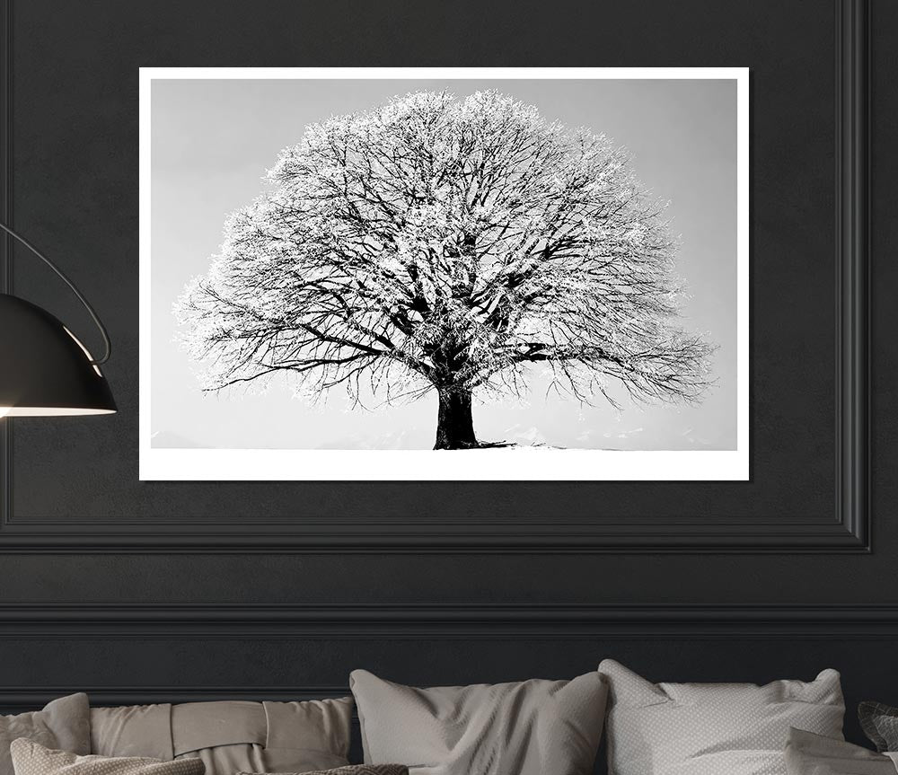 Winter Tree B N W Print Poster Wall Art