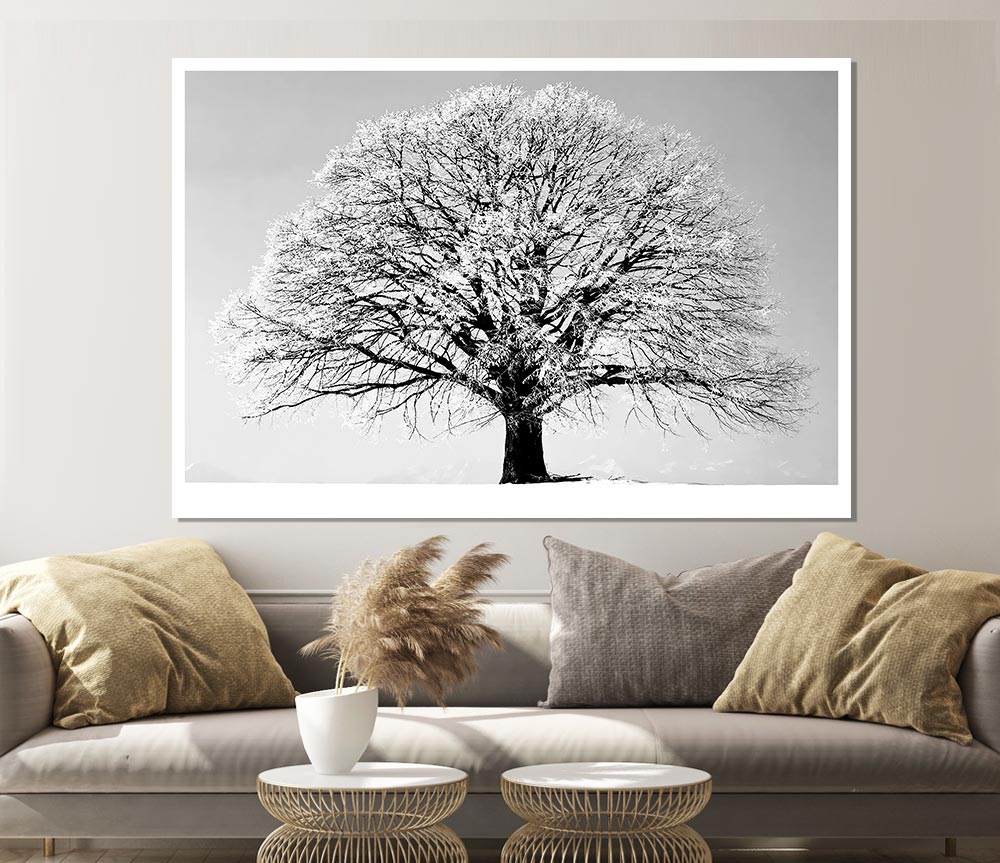 Winter Tree B N W Print Poster Wall Art