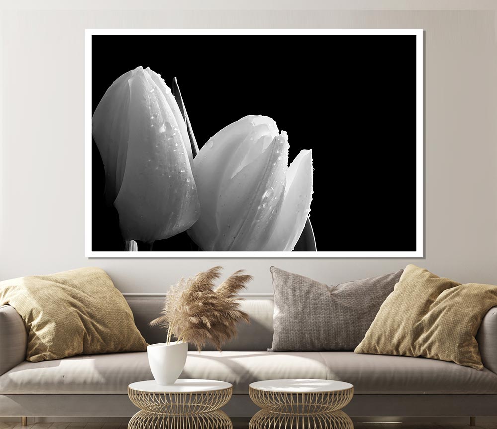 Black And White Tulip Beautys Print Poster Wall Art