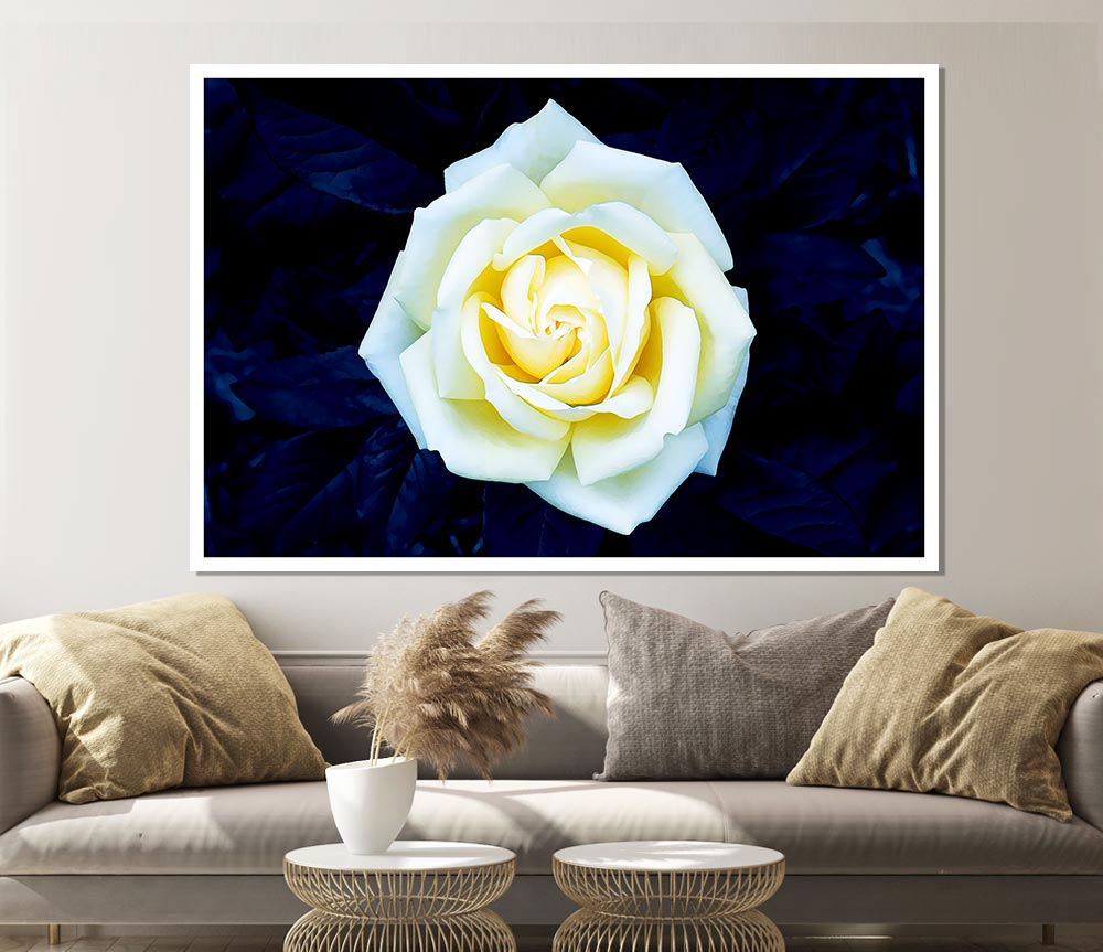 Yellow Rose On Blue Leaves Print Poster Wall Art