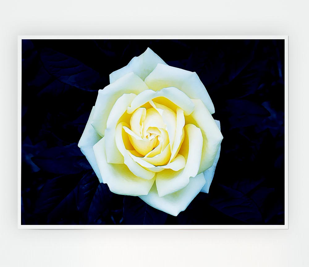 Yellow Rose On Blue Leaves Print Poster Wall Art