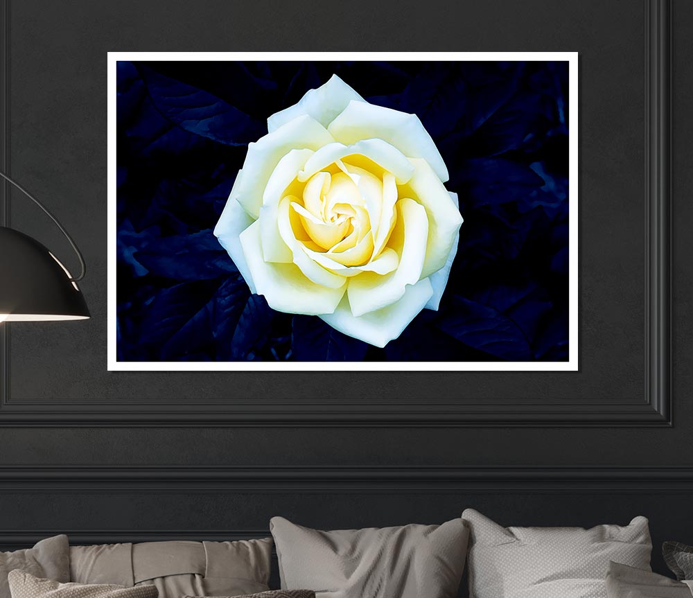 Yellow Rose On Blue Leaves Print Poster Wall Art