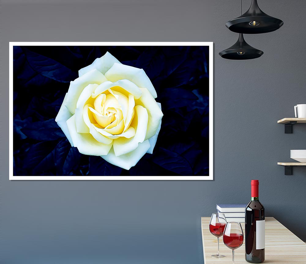 Yellow Rose On Blue Leaves Print Poster Wall Art