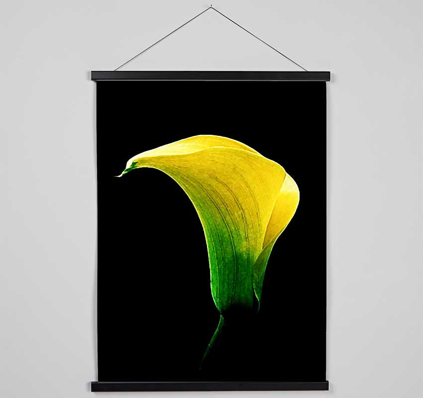 Stunning Night Lily Hanging Poster - Wallart-Direct UK