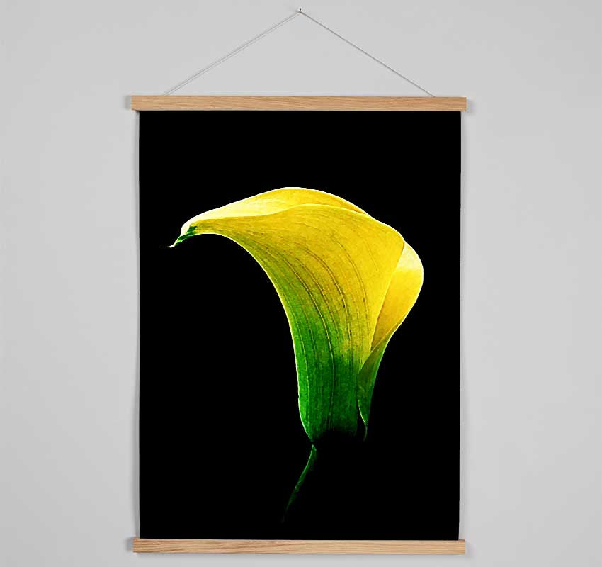 Stunning Night Lily Hanging Poster - Wallart-Direct UK