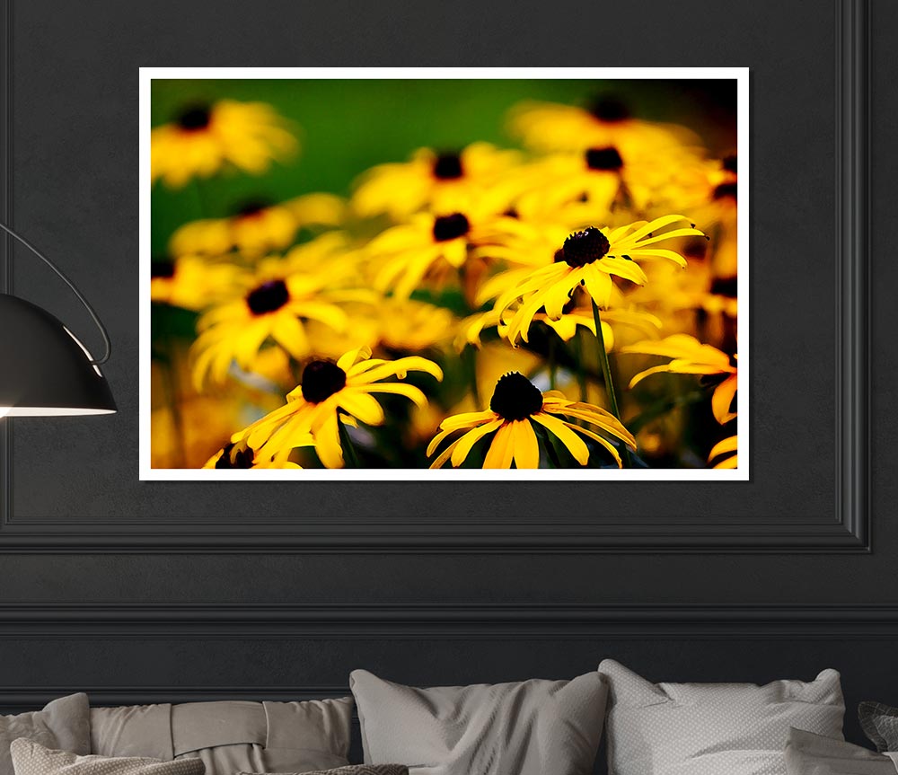 Yellow Daisy Pom Poms Print Poster Wall Art